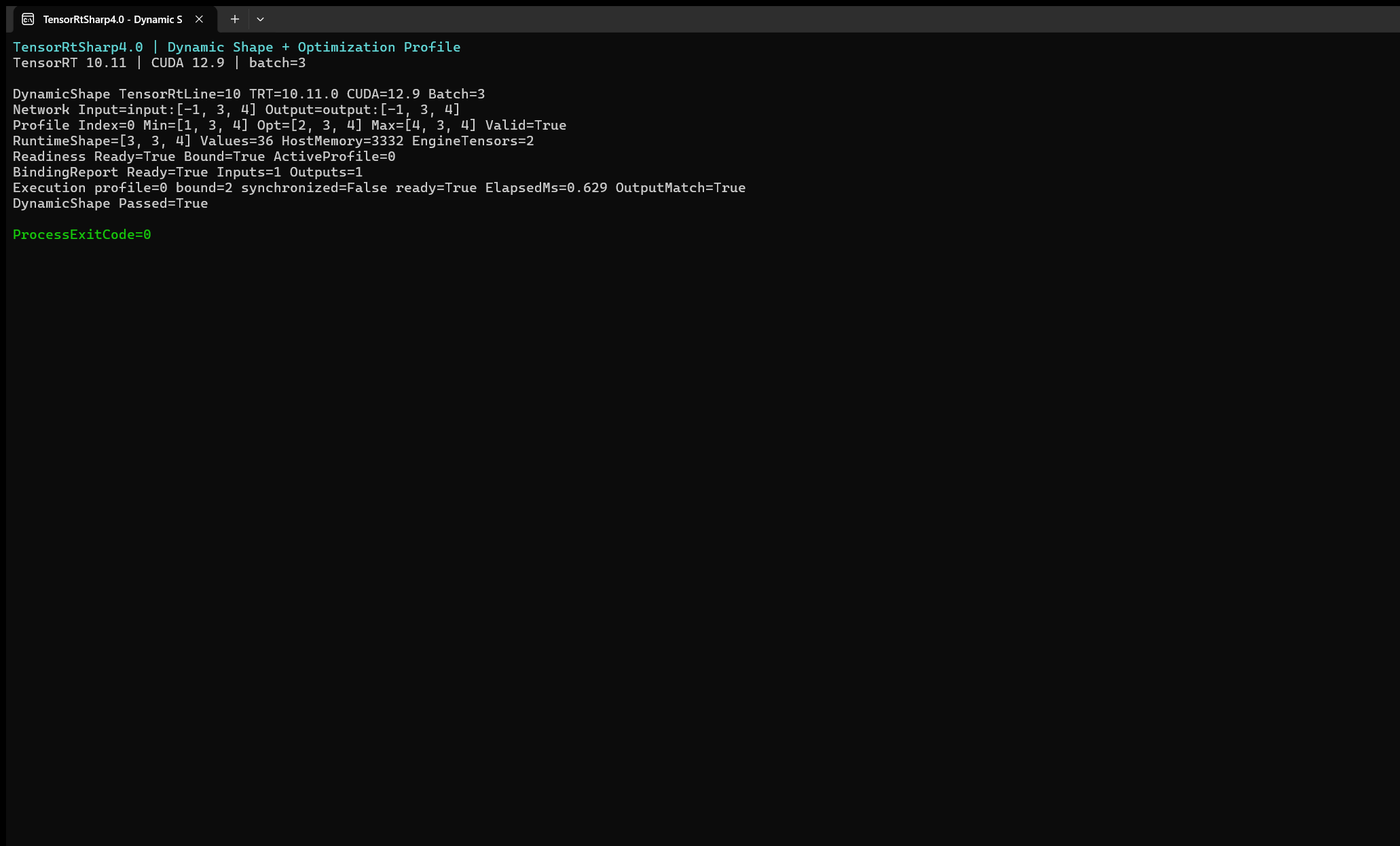 Dynamic Shape 示例真实 Windows Terminal 运行窗口
