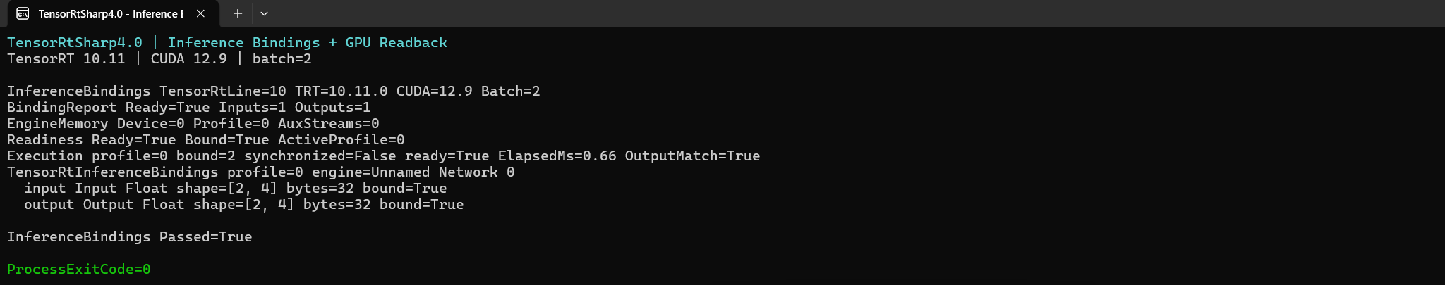 InferenceBindings 示例真实 Windows Terminal 运行窗口